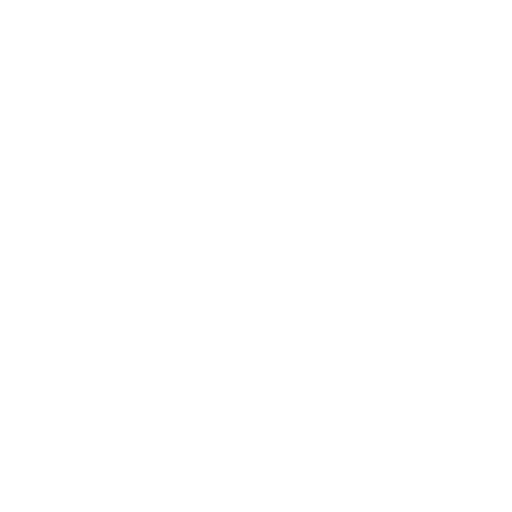 Ducks