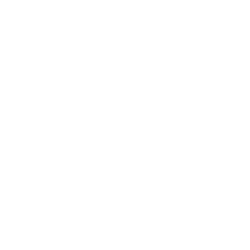 RoaringFire